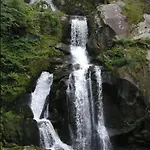 Two-bedroom Near Triberg Waterfall Apartamento Triberg im Schwarzwald