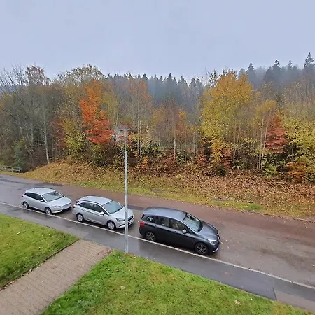 Two-bedroom Near Triberg Waterfall Daire *