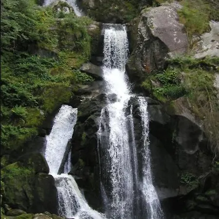 Two-bedroom Near Triberg Waterfall 公寓 特里贝格