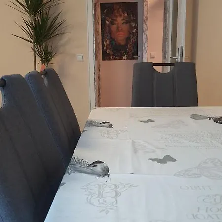 公寓 Two-bedroom Near Triberg Waterfall 特里贝格