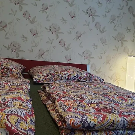Two-bedroom Near Triberg Waterfall 公寓 特里贝格