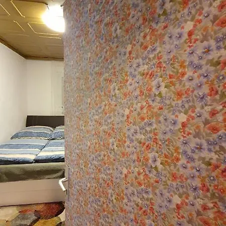 Two-bedroom Near Triberg Waterfall 特里贝格