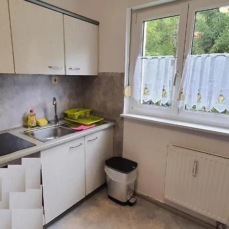 Two-bedroom Near Triberg Waterfall 特里贝格