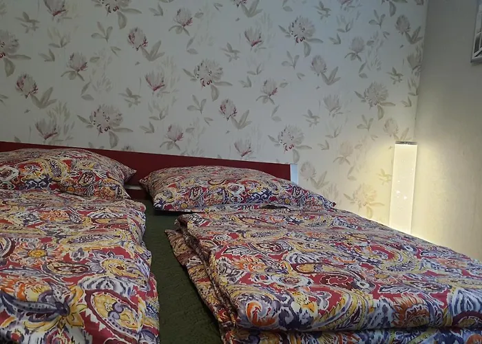 Two-bedroom Near Triberg Waterfall شقة تيبرغ